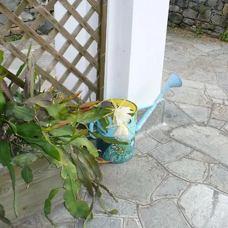 Vakantiehuis - Casa Del Ciliegio Girasolr *