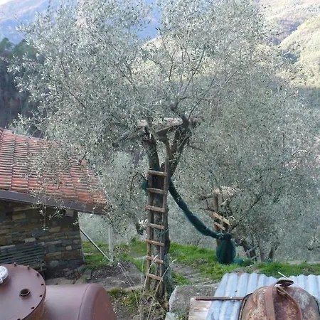 - Casa Del Ciliegio Girasolr